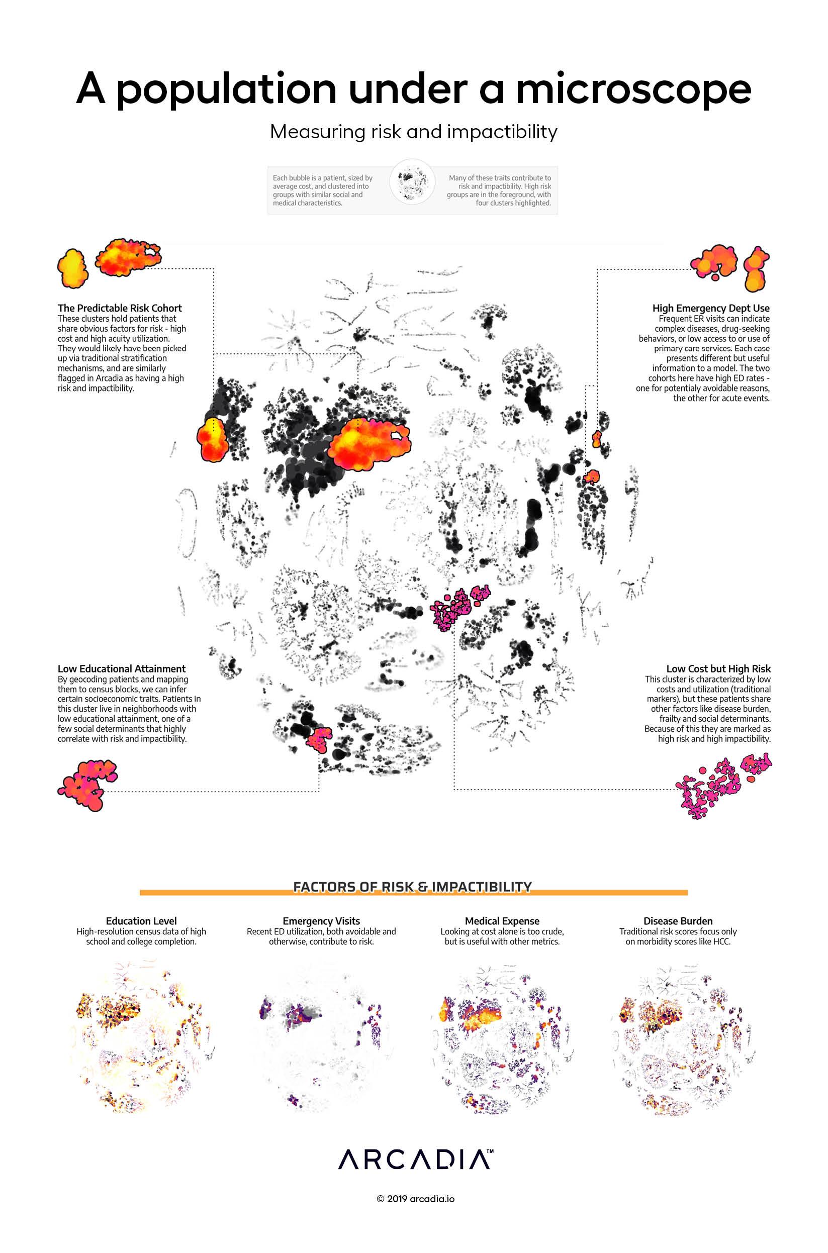 A population under a microscope