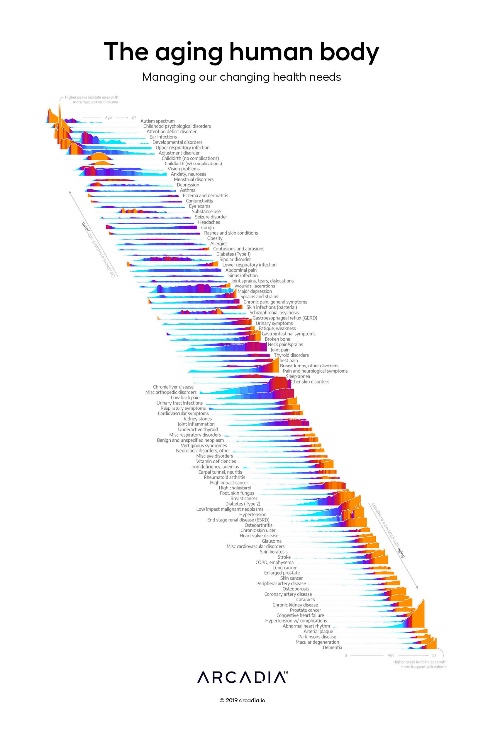 The aging human body